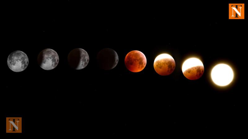 Holi and Lunar Eclipse 2025: Will India Witness the 'Blood Moon'?